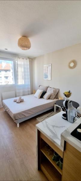 Le charmant Grenoblois Grenoble